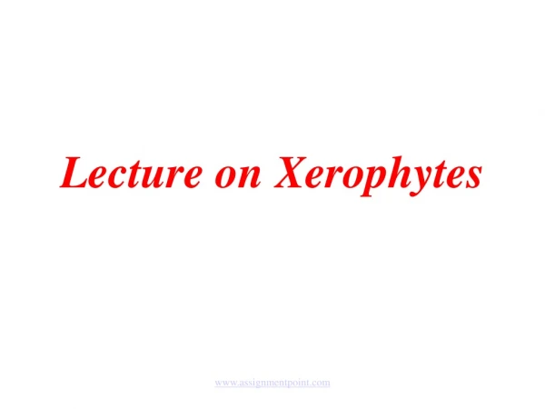 Lecture on Xerophytes