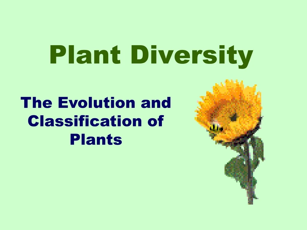 plant diversity