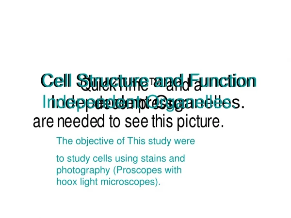Cell Structure and Function  Independent Organelles.
