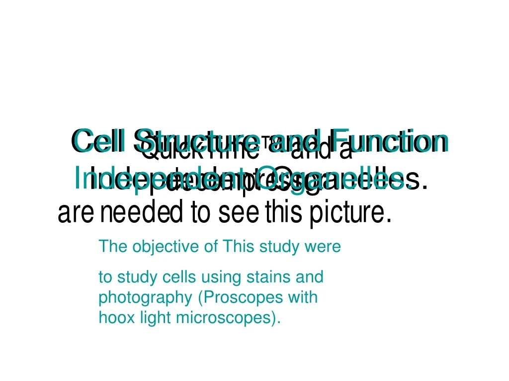 cell structure and function independent organelles