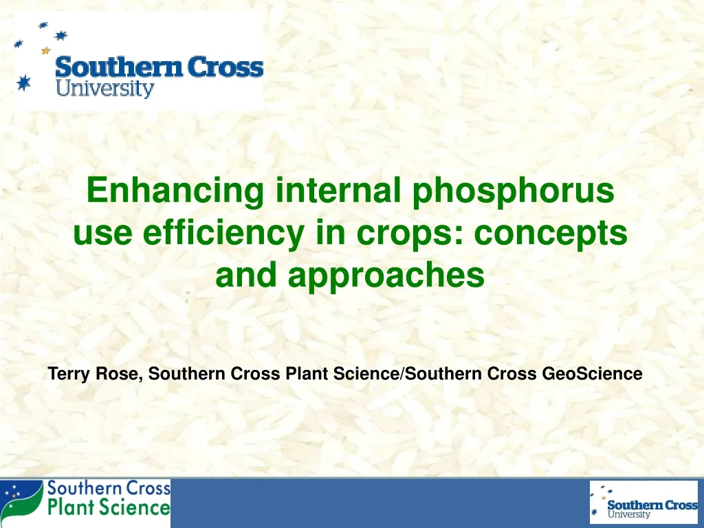 enhancing internal phosphorus use efficiency