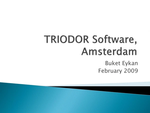 TRIODOR Software, Amsterdam