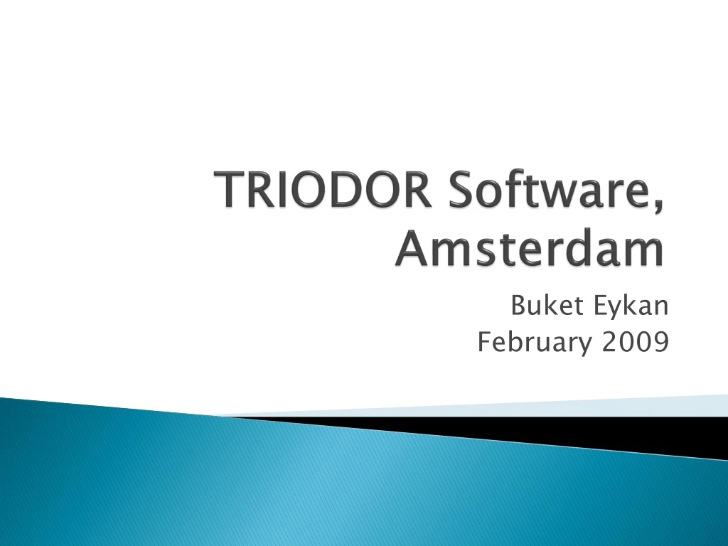 triodor software amsterdam