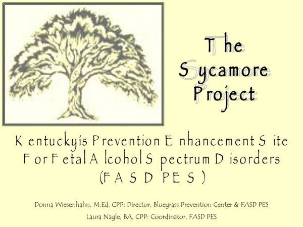 The Sycamore Project