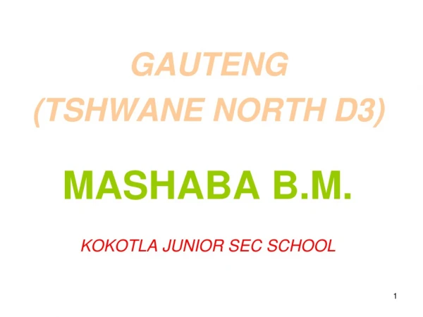 GAUTENG  (TSHWANE NORTH D3) MASHABA B.M. KOKOTLA JUNIOR SEC SCHOOL
