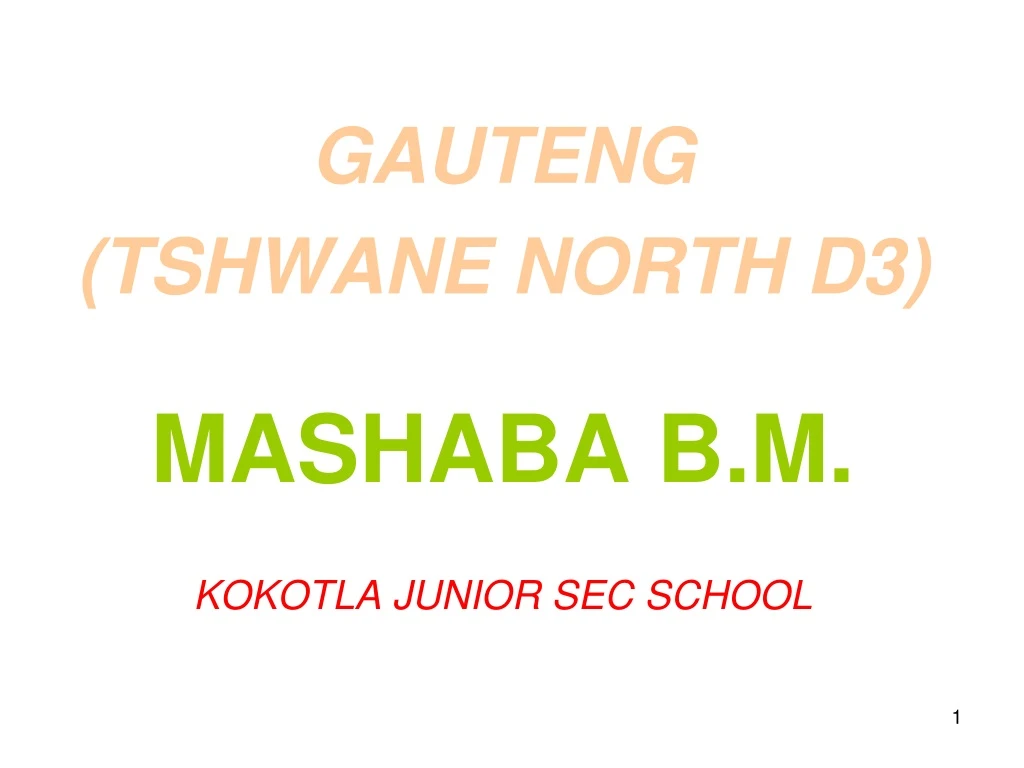 gauteng tshwane north d3 mashaba b m kokotla