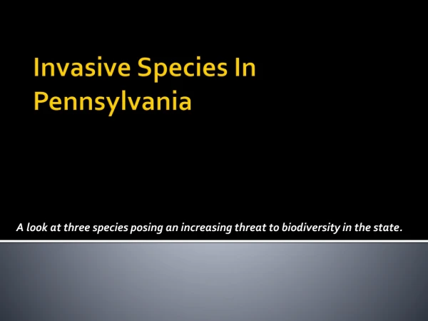 Invasive Species In Pennsylvania