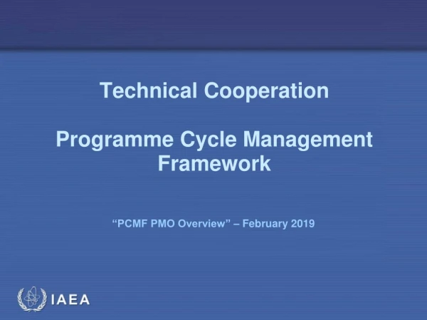 Technical Cooperation Programme Cycle Management Framework