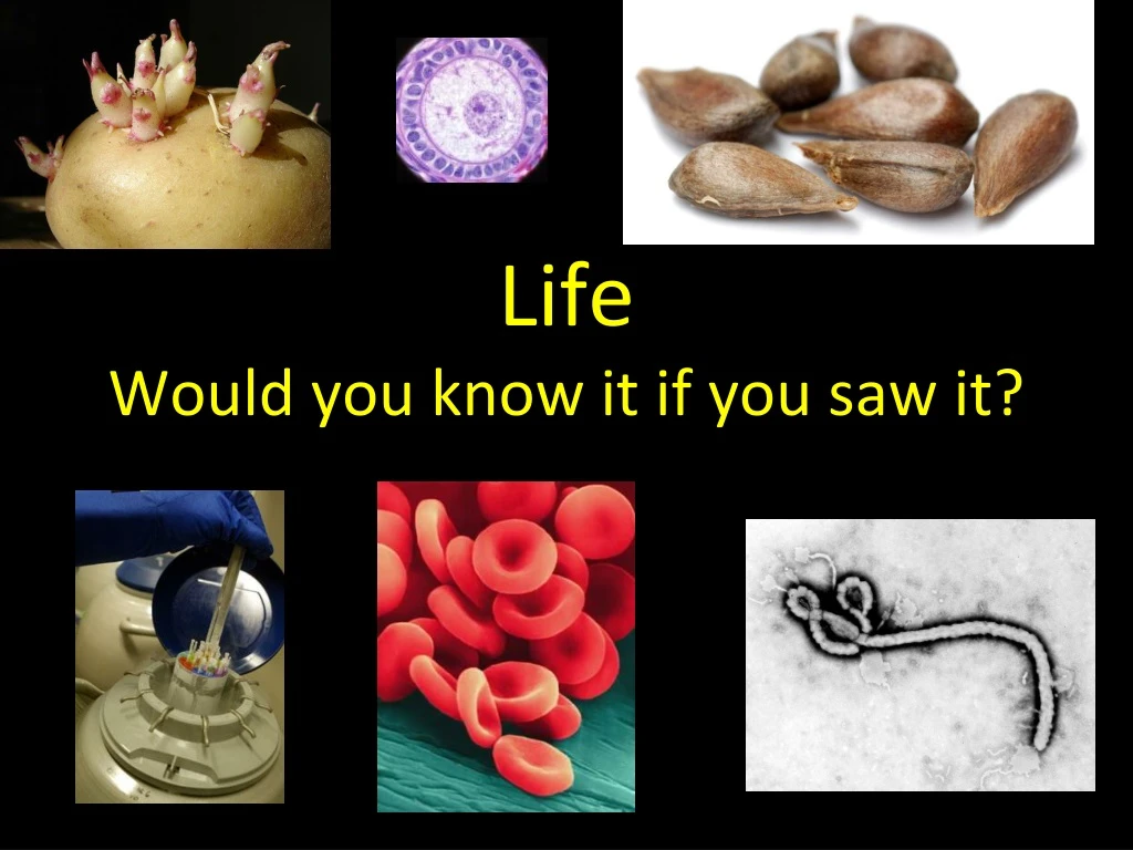 life would you know it if you saw it