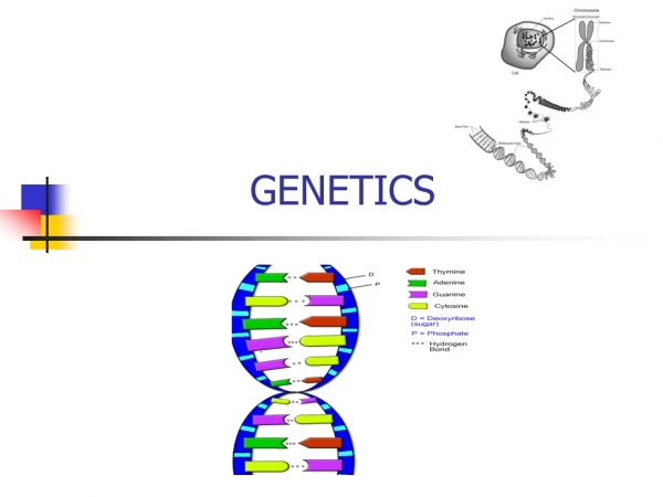 GENETICS