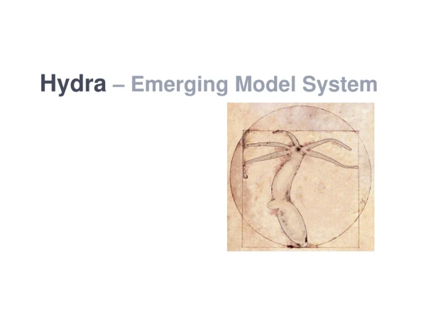 Hydra – Emerging Model System