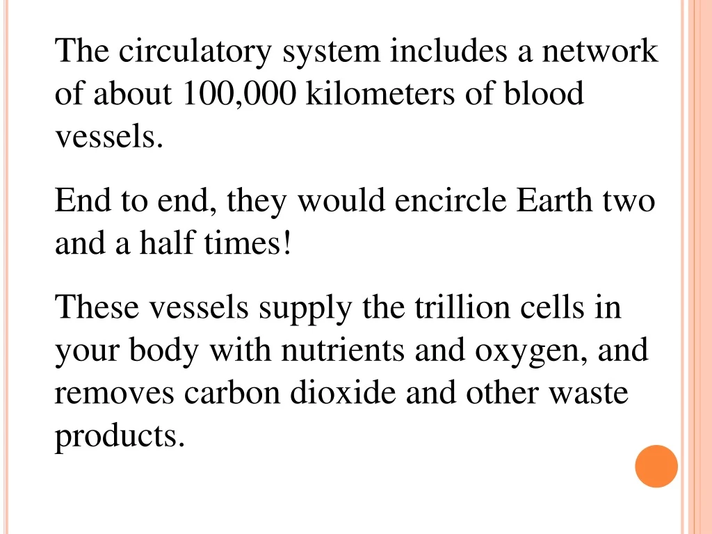 the circulatory system includes a network
