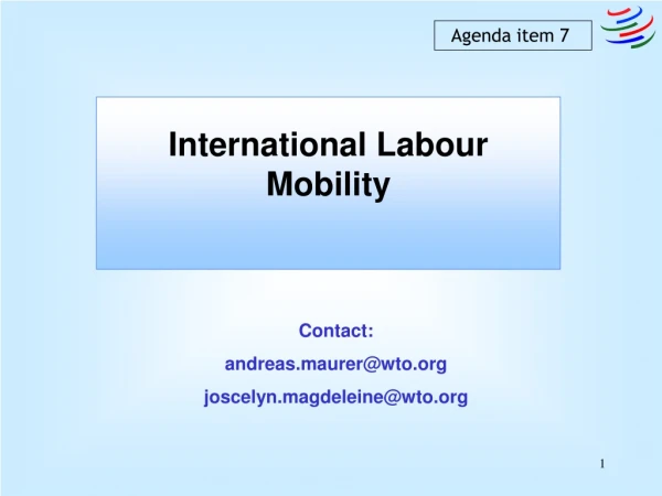 International Labour Mobility