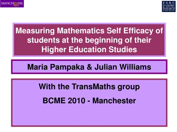 Measuring Mathematics Self Efficacy of students at the beginning of their Higher Education Studies