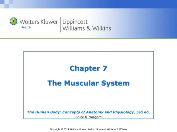 Chapter 7  The  Muscular System