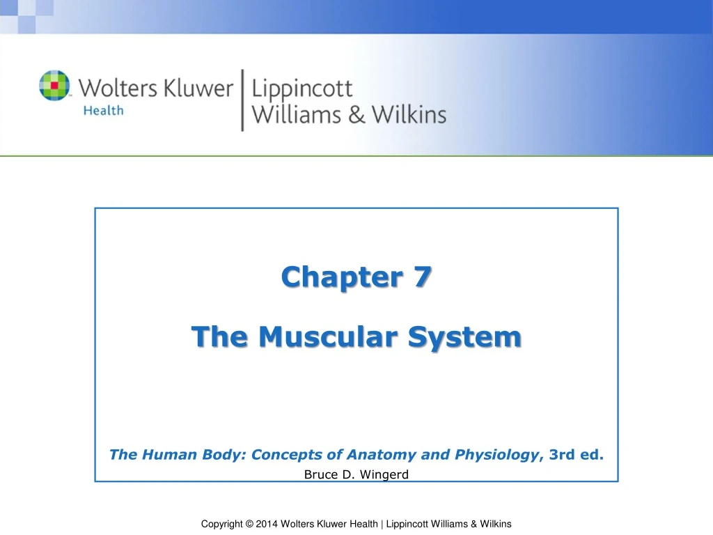 chapter 7 the muscular system
