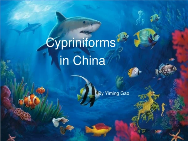 Cypriniforms  in China