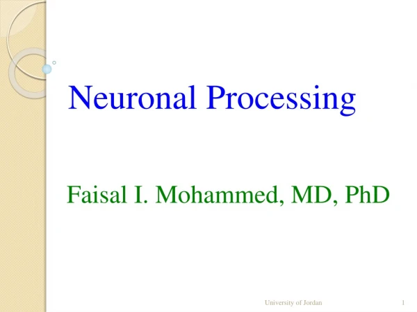 Neuronal Processing