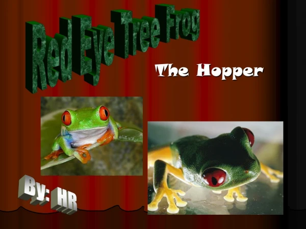 The Hopper