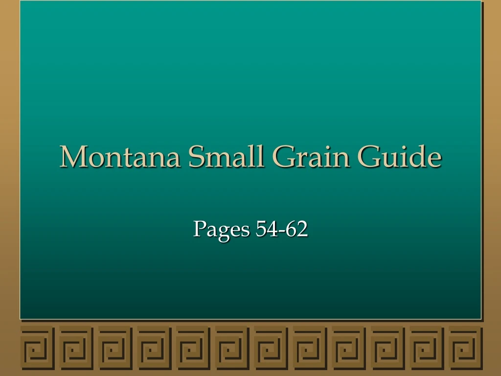 montana small grain guide