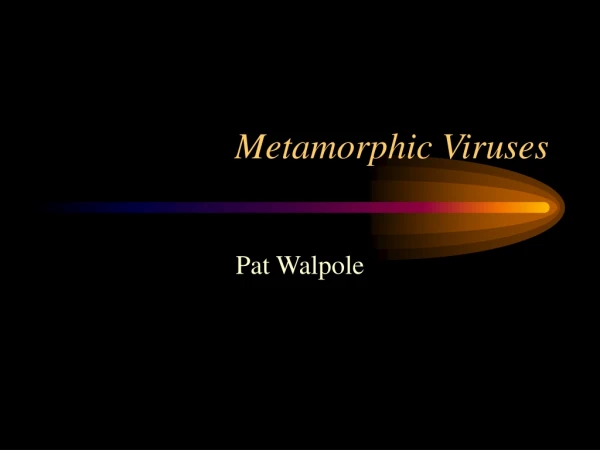 Metamorphic Viruses
