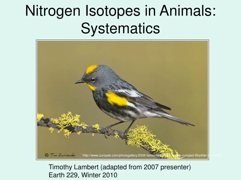 nitrogen isotopes in animals systematics