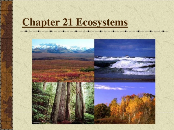 Chapter 21 Ecosystems