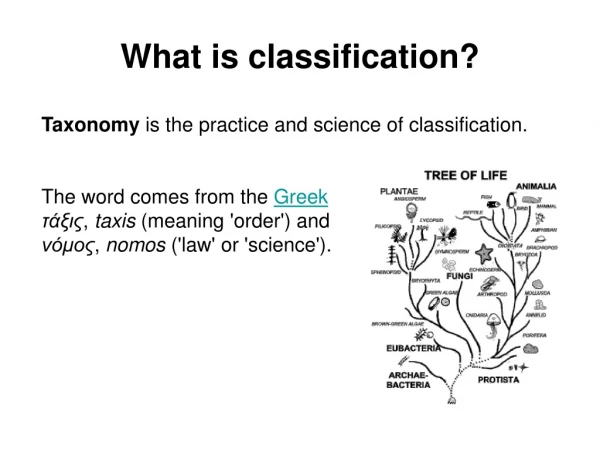 What is classification?