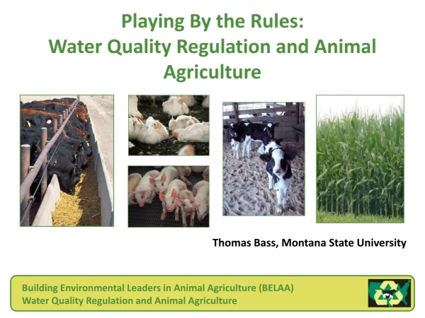 Playing By the Rules: Water Quality Regulation and Animal Agriculture