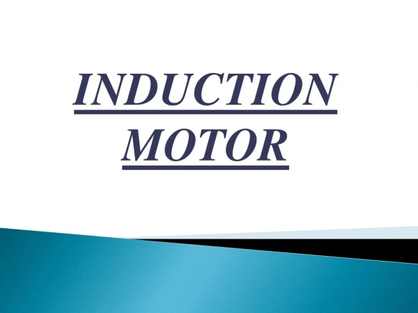 INDUCTION MOTOR