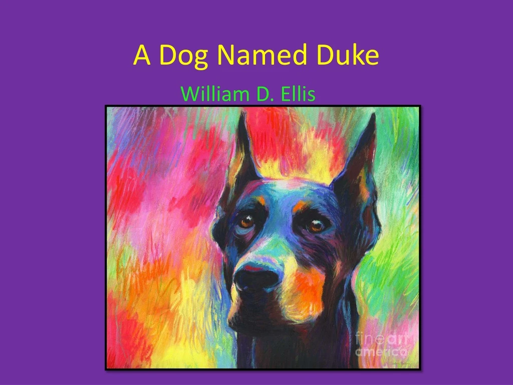 a dog named duke