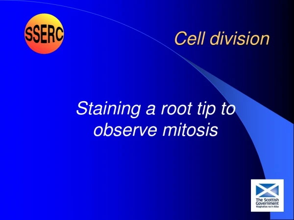 Cell division