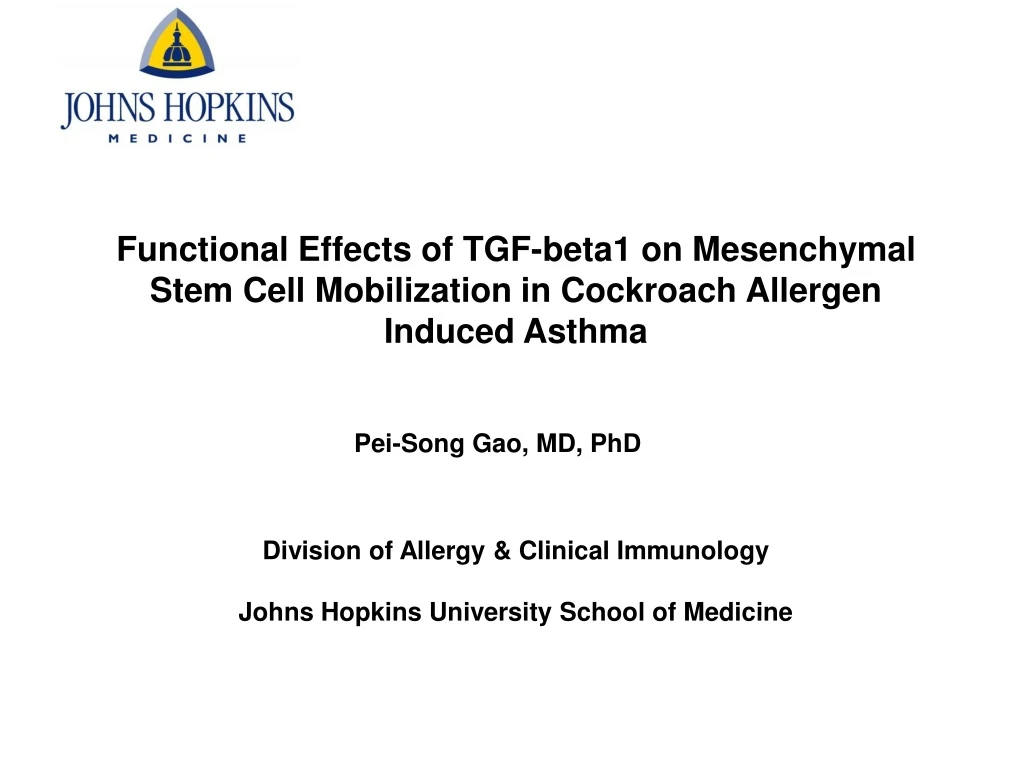 functional effects of tgf beta1 on mesenchymal