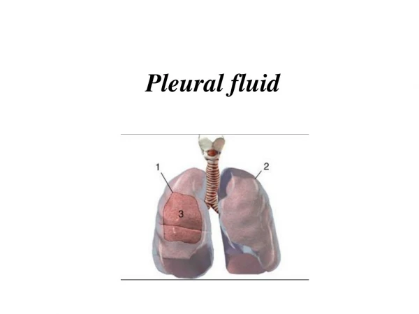Pleural fluid