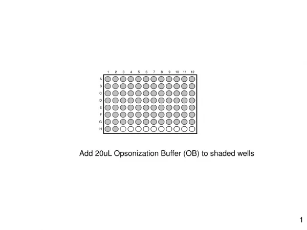 Add 20uL Opsonization Buffer (OB) to shaded wells