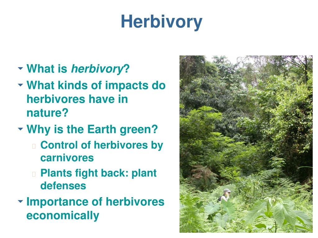 herbivory