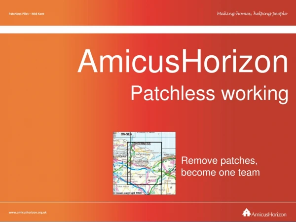 AmicusHorizon Patchless working