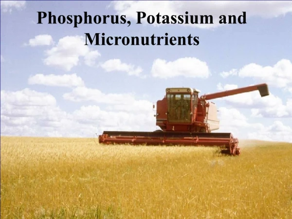 Phosphorus, Potassium and Micronutrients