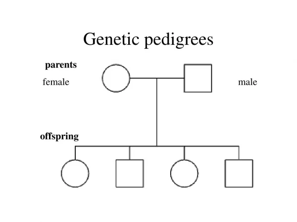 Genetic pedigrees