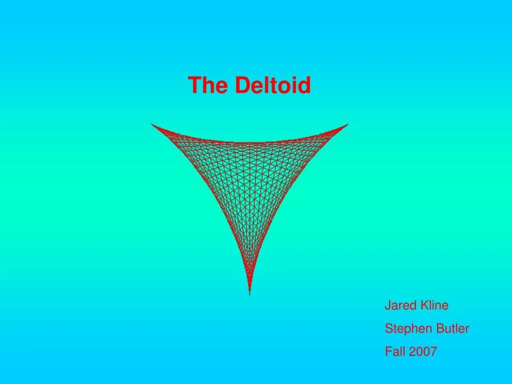 the deltoid