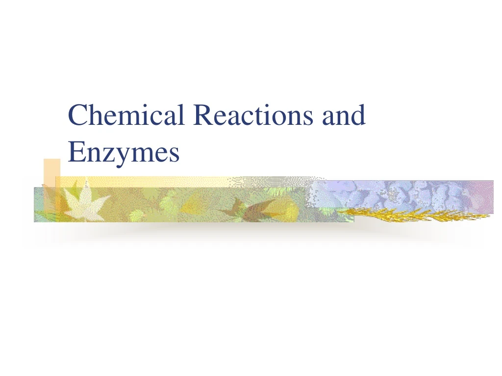 chemical reactions and enzymes