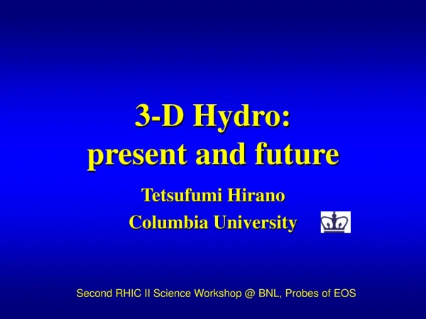 3-D Hydro: present and future