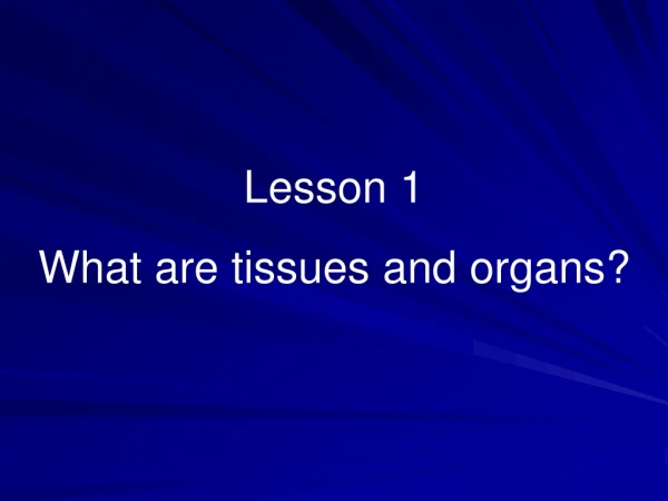 Lesson 1 What are tissues and organs?