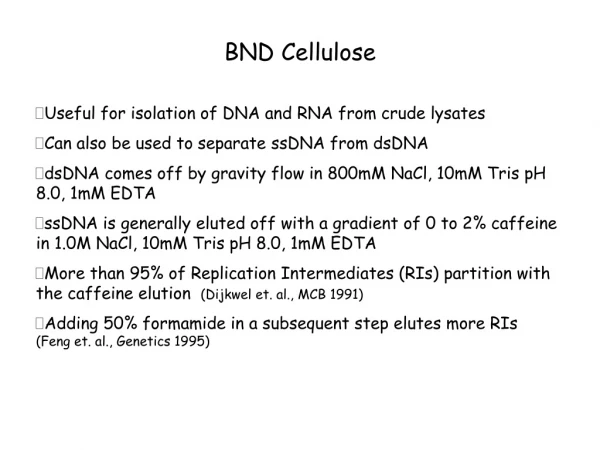 BND Cellulose