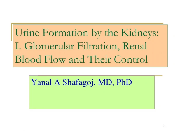 Urine Formation by the Kidneys: I. Glomerular Filtration, Renal Blood Flow and Their Control