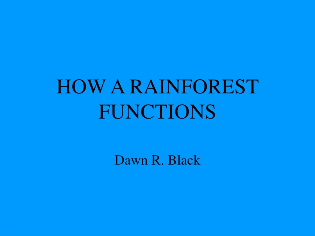 how a rainforest functions