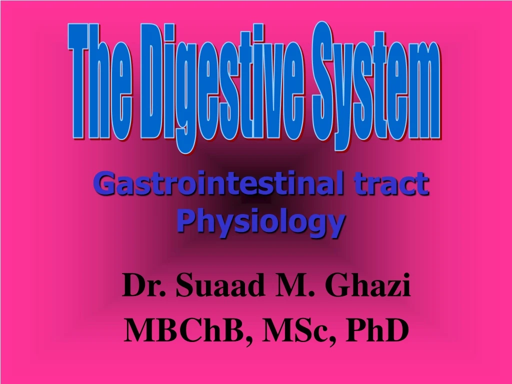 the digestive system