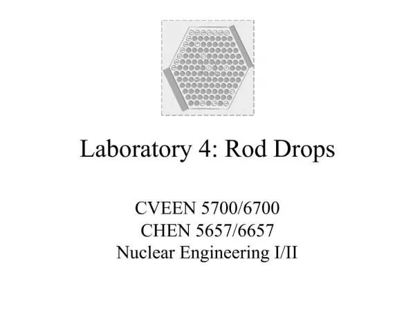 Laboratory 4: Rod Drops