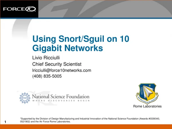 Using Snort/Sguil on 10 Gigabit Networks Livio Ricciulli Chief Security Scientist