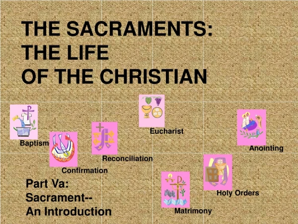 THE SACRAMENTS: THE LIFE  OF THE CHRISTIAN
